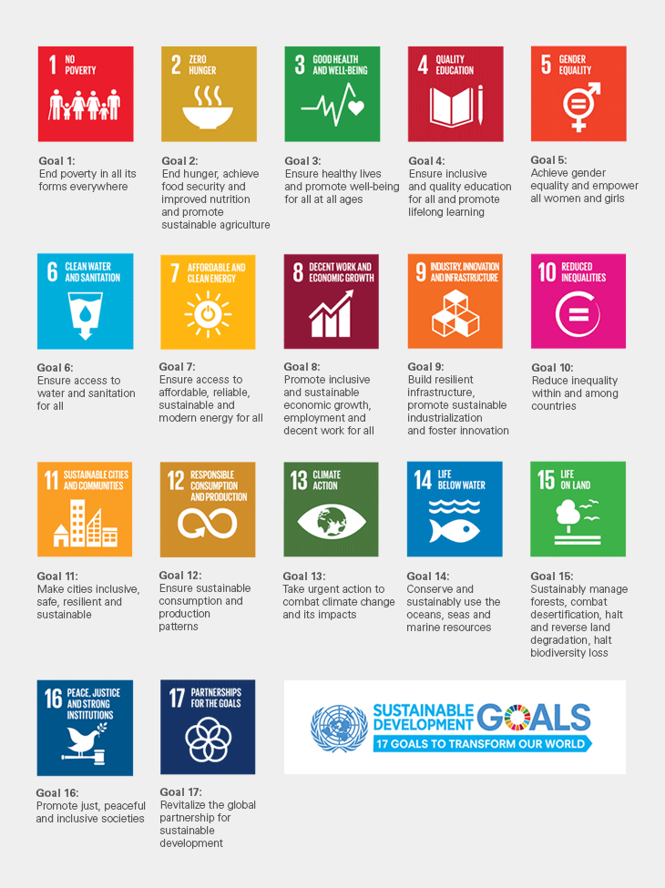 17 Sustainable Development Goals (SDGs)